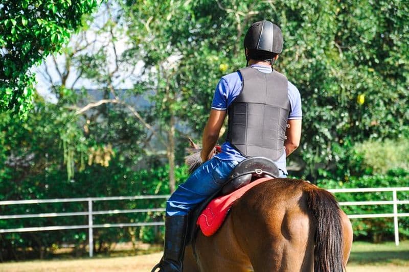 Équitation pour les professionnels de Negombo