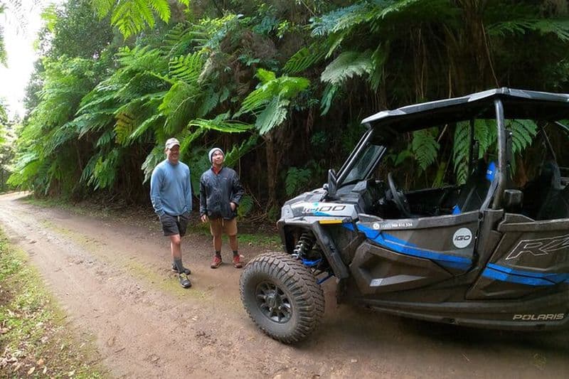 Billet Aventure privée exclusive en Buggy: Forêt et montagnes