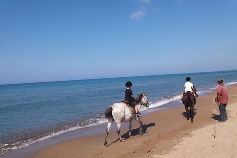 Montez à cheval sur la plage et la forêt