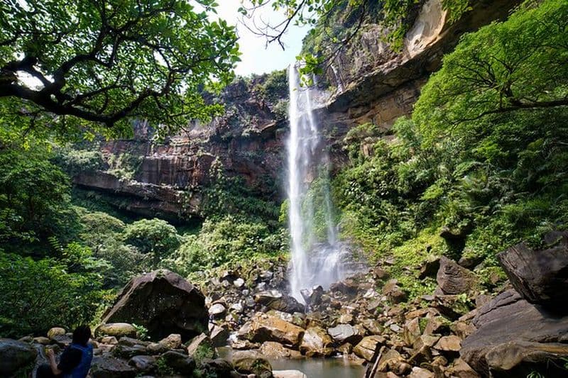 L’aventure d’Iriomote : Excursion en canot et trekking aux chutes Pinaisara