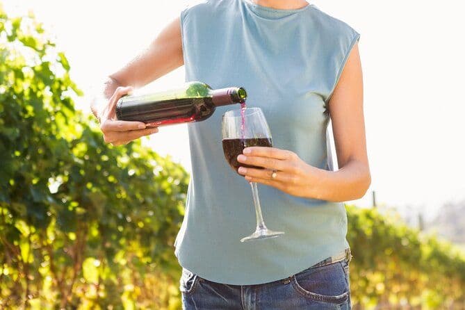 Troodos Mountains Vino Venture: Excursion d'une journée complète en vin