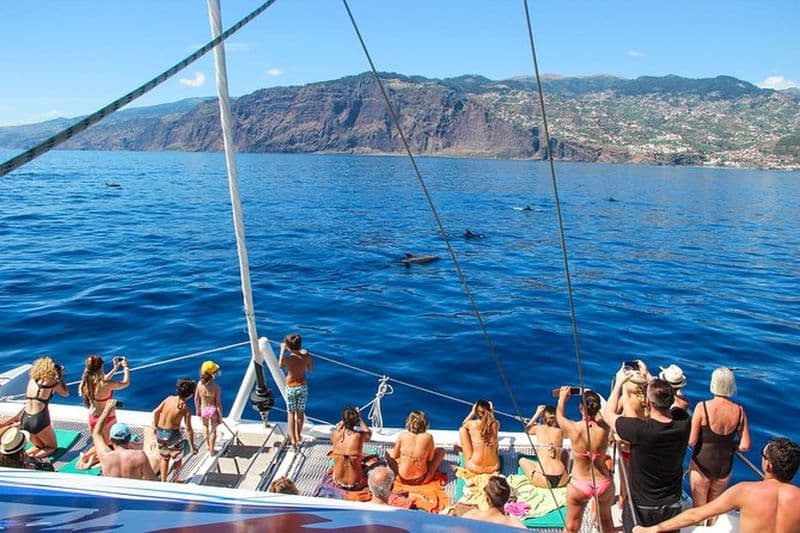 Croisière en catamaran au départ de Funchal pour observer les dauphins et les baleines