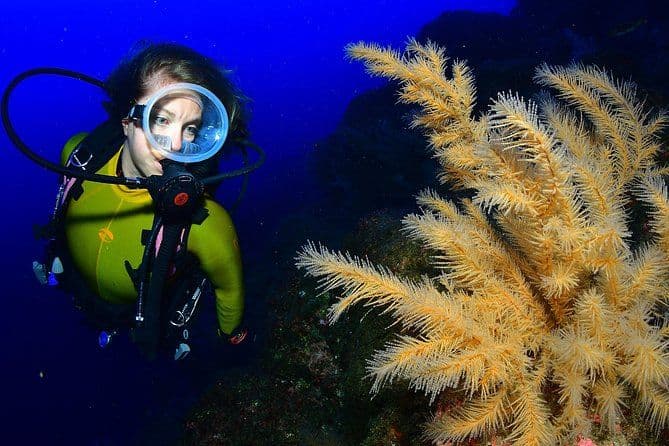 Double plongée sous-marine