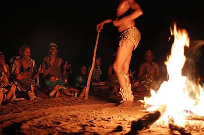 Randonnée de 4 jours dans le désert et les Bushmen: réserve de chasse du Kalahari central - WildCamping Safari