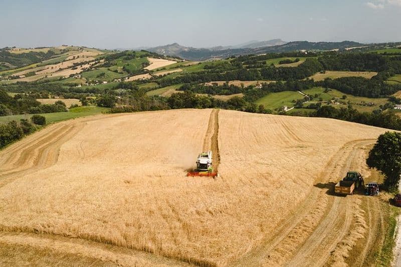 Visite privée de la brasserie Mastio avec dégustation de bière