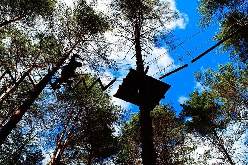 Multiactivités - Arborisme + Rapel + Escalade + Slide