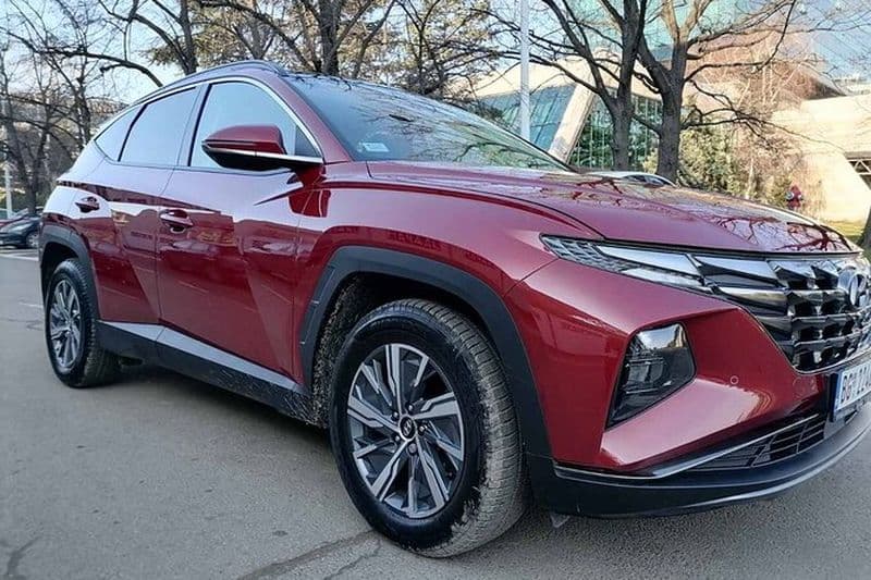 Transfert privé de Belgrade ou de l'aéroport de Belgrade à Novi Sad