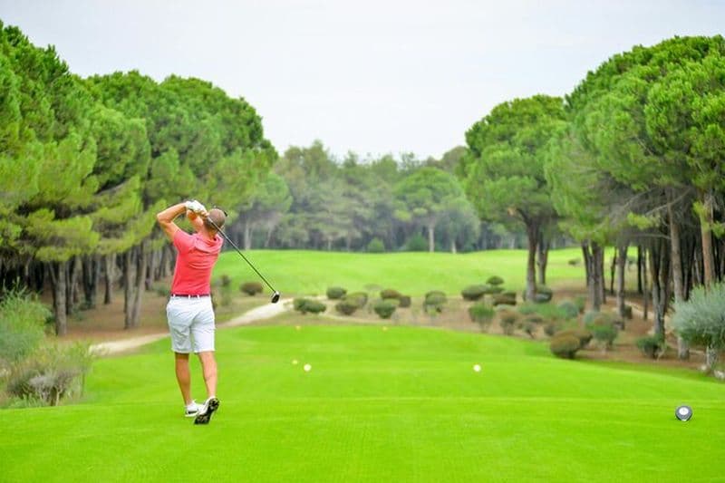Visite privée de golf professionnel de 1 heure à Nerja