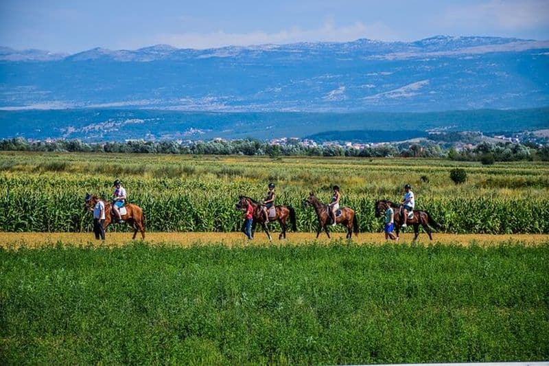 Équitation tout compris et découverte de Jeep