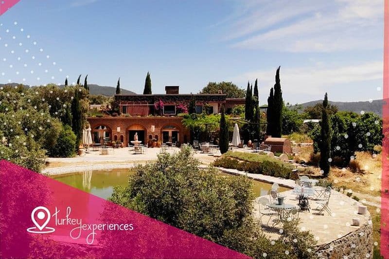 Vins et Merveilles de Bodrum : Dégustation de vigne et visite de Bodrum City Tour