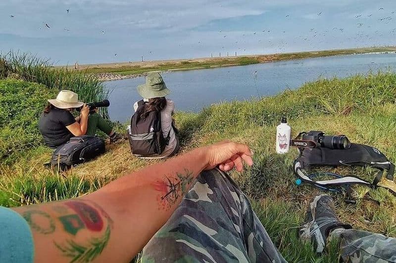 Visite privée d'une demi-journée d'observation des oiseaux à Lima