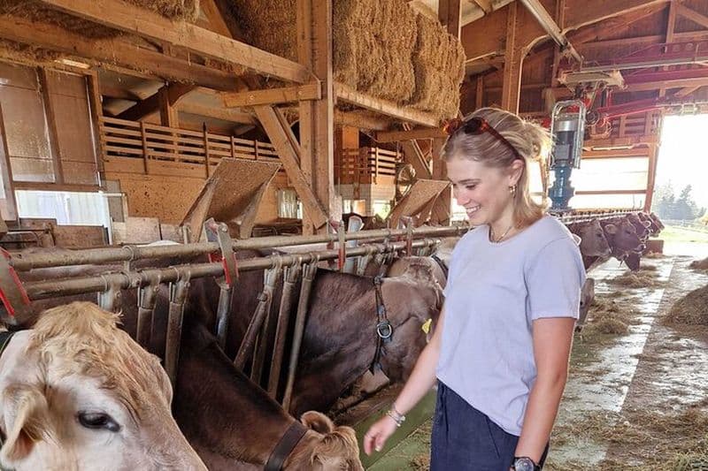 Visite des fermes et des fromages de Lucerne