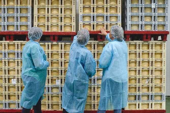 Visitez la fromagerie La Antigua (tourisme du fromage)