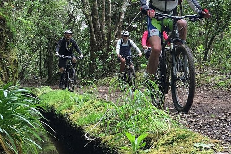 Sentiers Botaniques de Madère. Expérience de sentier de VTT