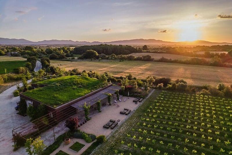 Balade et dégustation de vins dans l’Empordà