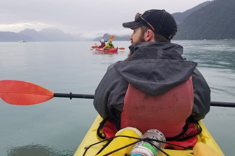 Tonsina Point Kayak à Resurrection Bay