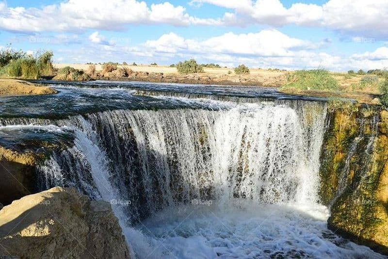 Excursion d'une journée à Fayoum Observation des oiseaux