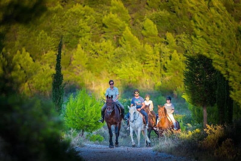 Équitation dans la région de Konavle avec transport depuis Dubrovnik
