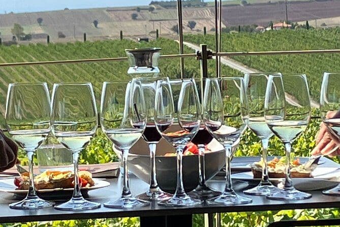 Oenotourisme à deux pas de la ville