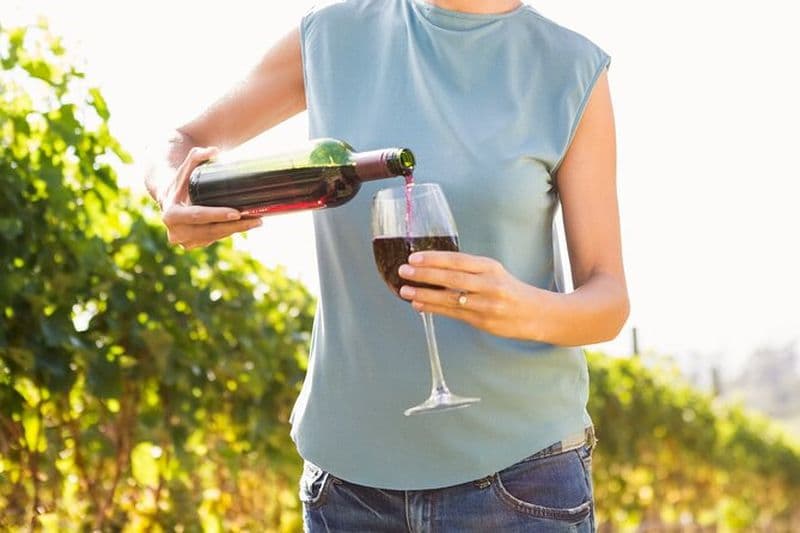 Troodos Mountains Vino Venture: Excursion d'une journée complète en vin