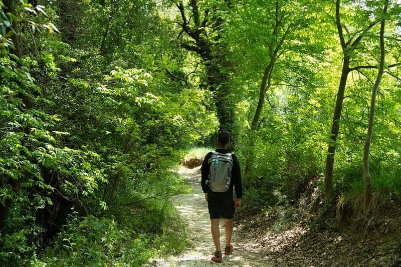 Visite à pied pour découvrir les hêtres séculaires d'Elcito