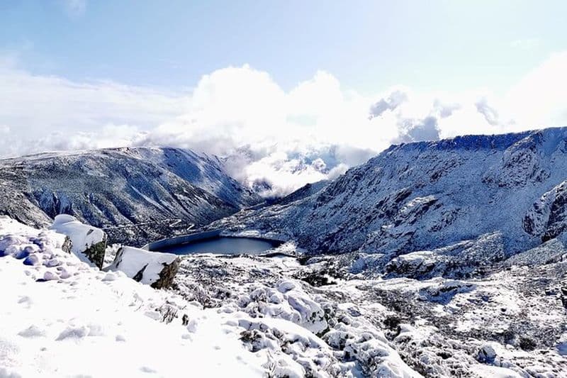 Serra da Estrela - Excursion d'une demi-journée hors route avec dégustation de fromages