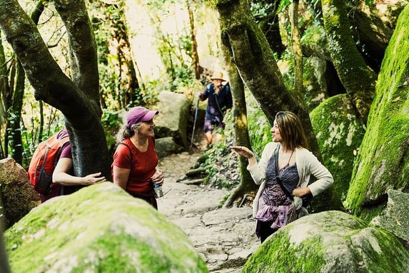 Randonnée à Sintra : Palais de Pena, Château maure, Quinta da Regaleira