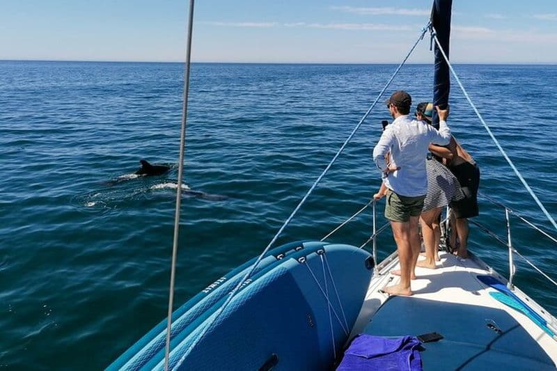 Excursion côtière sur un voilier de luxe - Vilamoura (Max 12 invités)