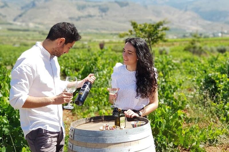 Visite des vins d'Almería et dégustation en anglais dans Bio Winery