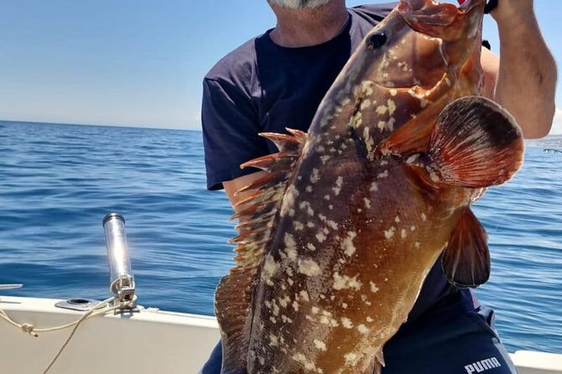 Excursion de pêche privée de 2 heures à Manilva