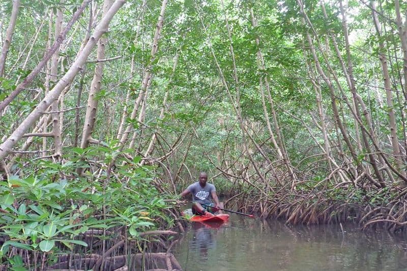 Billet Stand up paddle in paradise