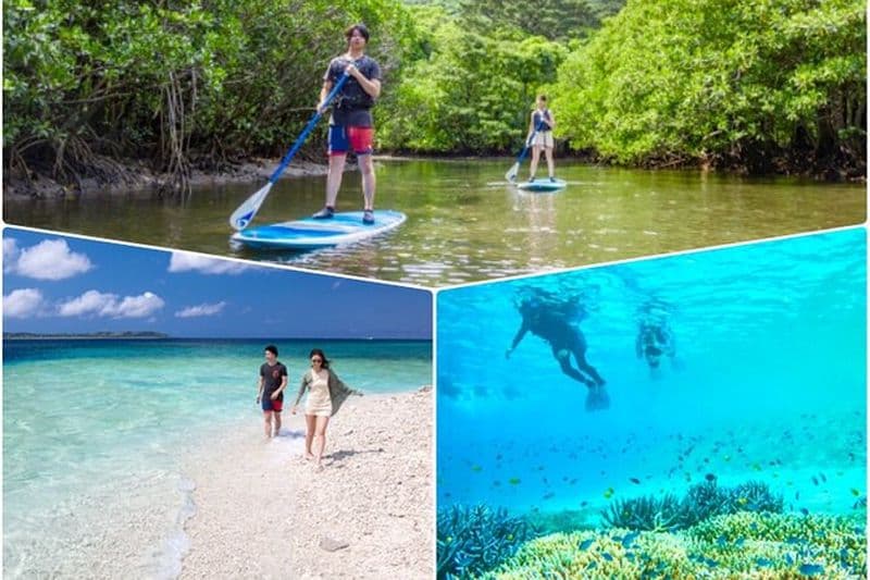 Okinawa Iriomote Island 1 jour Patrimoine mondial « Mer x Rivière » 2 grands parcours classiques (snorkeling sur l'île de Baras et SUP ou canoë dans la mangrove)