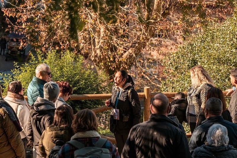 Visite magique du village de Sintra
