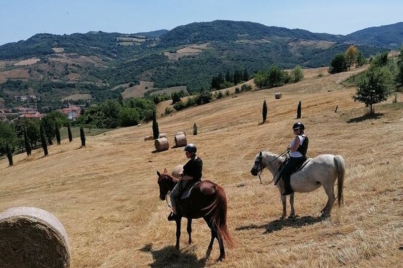 Balade à cheval à travers les collines émiliennes de Vergato