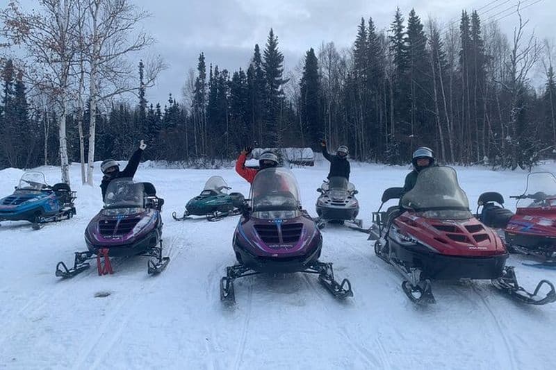 Excursion d'une heure en motoneige à Fairbanks en Alaska