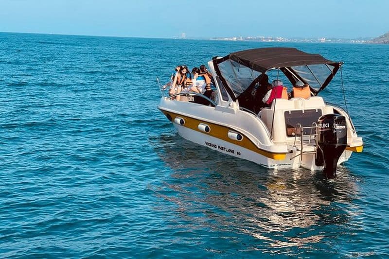 Observation des baleines de Colombo