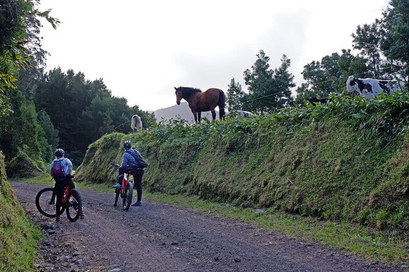 Visite guidée en VTT électrique Ribeira Grande