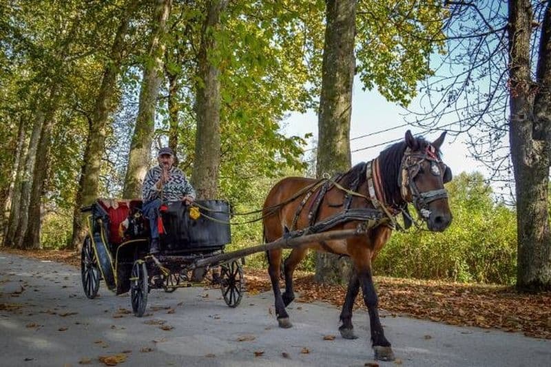 Promenade en calèche privée à Vrelo Bosne