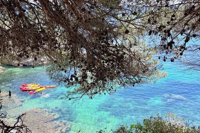 Réveillez l'aventure ! Kayak à 8h