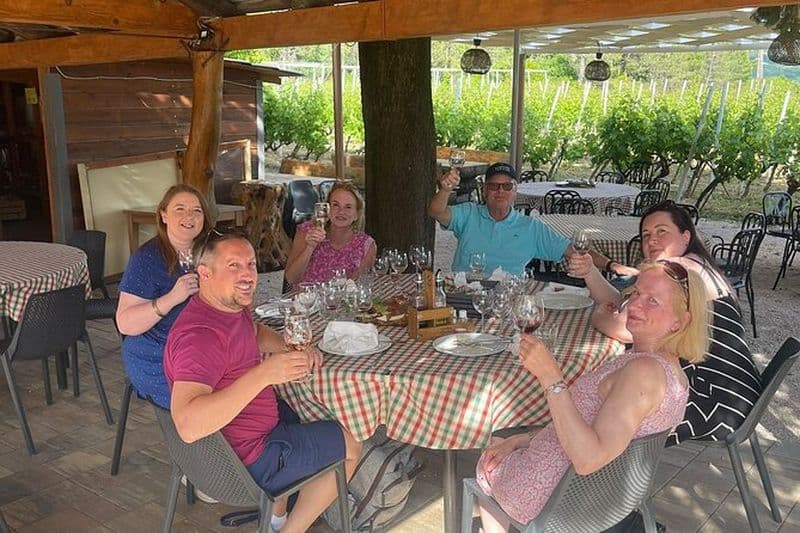 Dégustation de vins et de plats d'une demi-journée au départ de Dubrovnik