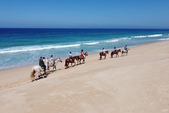 Équitation sur la plage de Melides