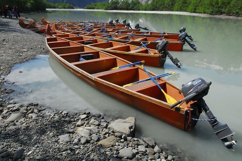 Safari en canot voyageur d'une journée en Alaska de la faune de Skagway