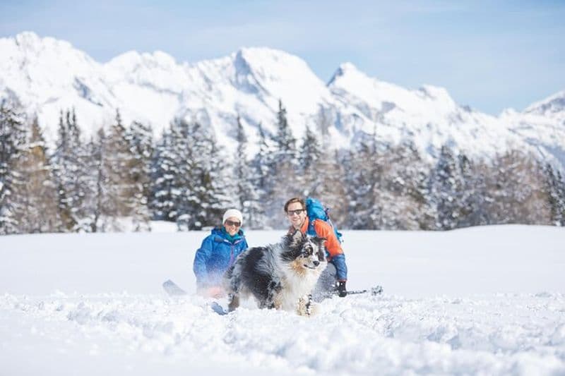 Randonnée hivernale panoramique Nordkette