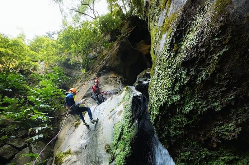 São Miguel : Niveau 2 de canyoning à Salto do Cabrito, Açores