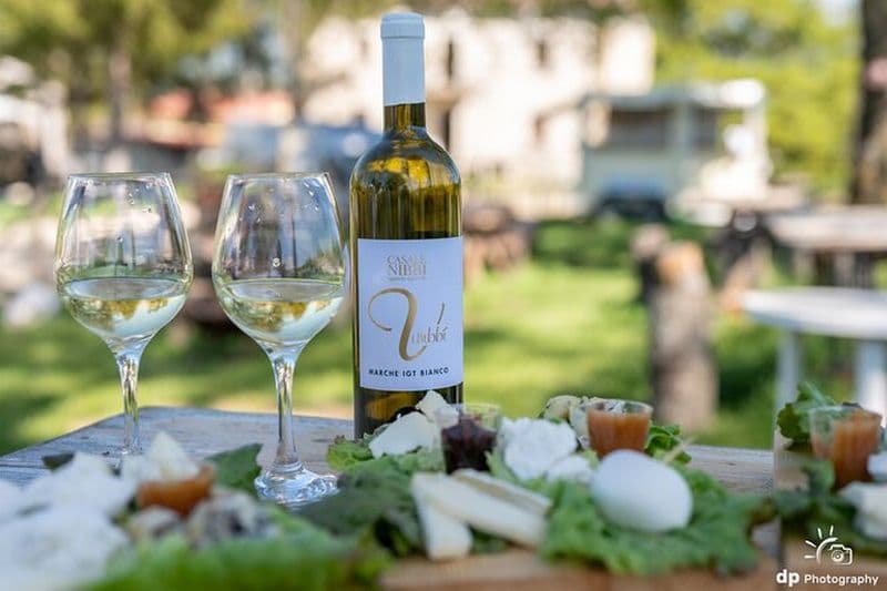 Expérience de dégustation de fromage privée à Amatrice