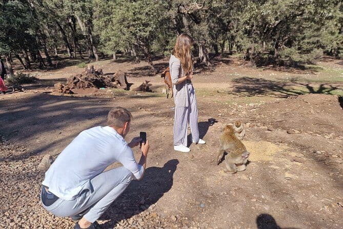 Fès privé au Moyen Atlas avec randonnée dans la forêt de cèdres