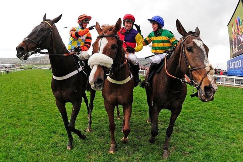 Une journée aux courses et aux amateurs de chevaux