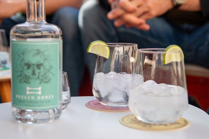 Ljubljana Gin Tasting Boat Tour