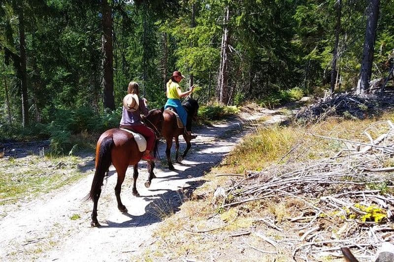 Billet Excursion privée à cheval à la cascade des Cascades au départ de Smolyan