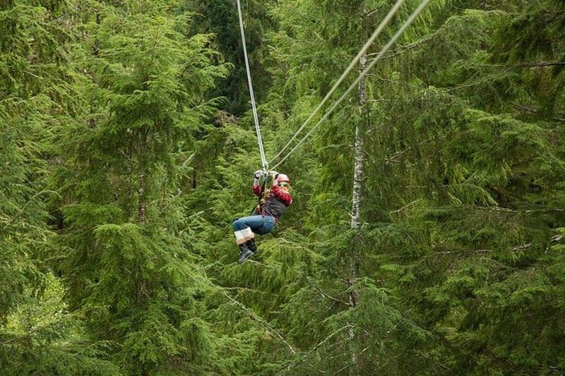 Aventure en canopée et en tyrolienne dans la forêt tropicale de Ketchikan, Alaska